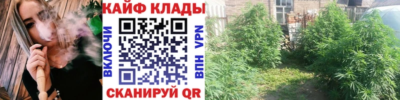 Как найти закладки Новоуральск COCAIN  Галлюциногенные грибы  blacksprut   АМФЕТАМИН  Меф 