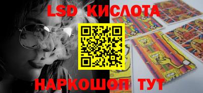 PSILOCYBIN Заводоуковск