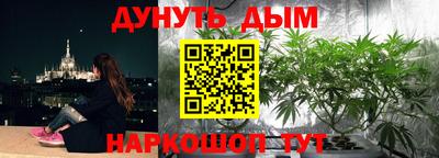 PSILOCYBIN Заводоуковск