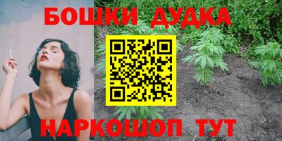 PSILOCYBIN Заводоуковск